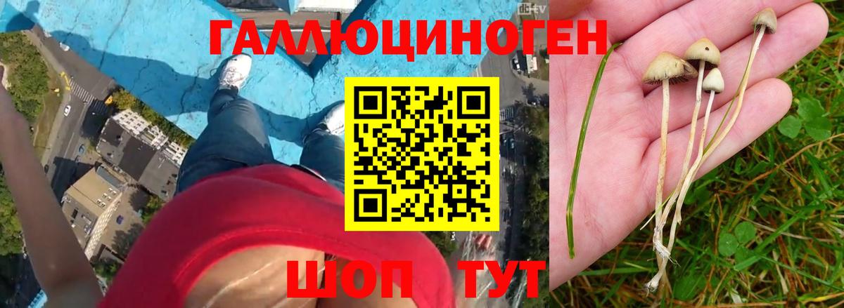 Избербаш  Псилоцибиновые грибы ЛСД  Вход с VPN 